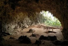 Liang Bua, Wisata Sejarah Manusia Hobbit di Flores