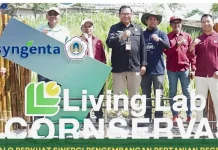 Cornservasi 2026 Perkuat Pertanian Regeneratif Gorontalo