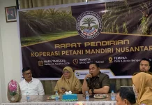 Petani Sawit Gorontalo Prakarsai Pembentukan Koperasi