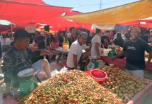 Update Pasar Rabu Andalas: Harga Rica Masih Rp100 Ribu/kg