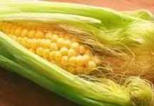 Manfaat Rambut Jagung untuk Kesehatan Tubuh