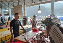Harga Ikan di Pelelangan Kota Gorontalo Naik, Cuaca Jadi Pemicu