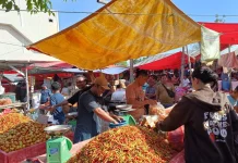 Harga Rica Capai Rp120 Ribu, Tomat Mulai Rp3 Ribu di Pasar Rabu Andalas