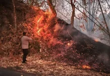 Kebakaran Lahap Satu Hektar Lahan Perkebunan di Suwawa Selatan