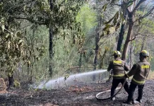 Kebakaran Tebing Gunung di Alale Berhasil Dipadamkan Tim Gabungan