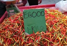 Harga Rica di Pasar Telaga Tembus Rp150 Ribu per Kilogram