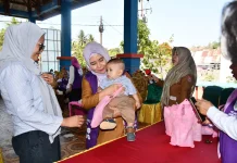 Penguatan Posyandu dan Pemenuhan Hak Anak melalui Implementasi 6 Bidang SPM