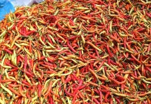 Harga Rica dan Cabai Merah Masih Tinggi di Pasar Andalas Kota Gorontalo