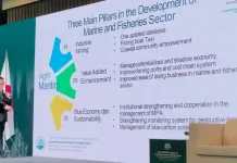 Gorontalo Paparkan Strategi Kelautan di Korea Selatan, Ada Taksi Kapal Nelayan