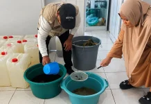 Balintan Gorontalo Perkuat Pengendalian OPT Ramah Lingkungan