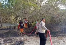 Tim Gabungan Padamkan Kebakaran Lahan di Panggulo Botupingge