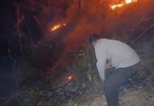Polisi dan Warga Padamkan Kebakaran Lahan di Parungi Boliyohuto