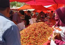 Harga Cabai Rawit di Pasar Minggu Telaga Tembus Rp170 Ribu per Kilogram