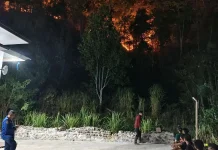 Tim Gabungan Berupaya Padamkan Karhutlah di Desa Lombongo