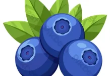 Manfaat Blueberry untuk Kesehatan