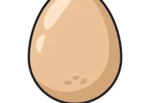 Benarkah Telur Tidak Boleh Dicuci?