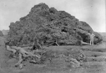 Mengapa Letusan Krakatau 1883 Begitu Dahsyat