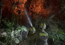 Kebakaran Lahan di Bondawuna Padam, Tim Gabungan Cegah Api Meluas