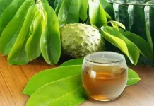 Mengulik Khasiat Daun Sirsak
