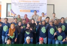 ICARE Gelar Bimtek Perbenihan Kentang Dorong Kemandirian Petani Gowa