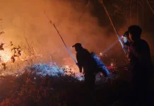Tim Siaga Karhutla Padamkan Kebakaran Lahan di Suwawa Timur