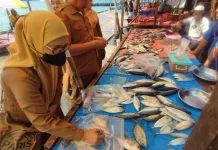 DKP Provinsi Gorontalo Perkuat Pengawasan Keamanan Pangan