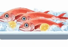 Mengolah Makanan Beku, Begini Caranya yang Benar