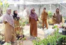 KPTPH Gorontalo Cek Kerusakan Greenhouse Poktan Bougenville