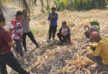 Polsek Tilamuta Cegah Kebakaran Lahan Meluas di Desa Ayuhulalo