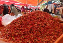 Harga Pasar Jumat Telaga, Rica Mulai Rp90 Ribu
