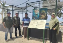 DKP Gorontalo Perkuat Pelestarian Penyu Berbasis Masyarakat