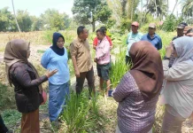 Komisi III DPRD Provinsi Gorontalo Soroti Kondisi Tanggul Sungai Bionga