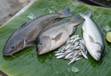 Ikan Murah Kaya Manfaat untuk Tubuh