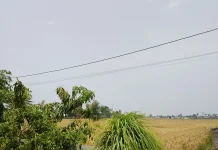 Langit Gorontalo Diselimuti Asap, BMKG Ungkap Penyebabnya