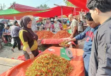 Harga Rica Masih Tinggi, di Pasar Andalas Dijual 120 hingga 140 Ribu per Kilogram
