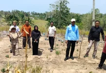 Dinas KPTPH Gorontalo Verifikasi CPCL Pengembangan Cabai dan Bawang Merah