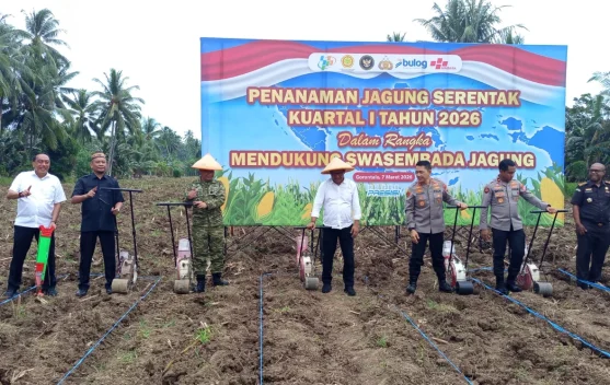 Tanam Raya Jagung Serentak Dukung Swasembada Pangan Nasional
