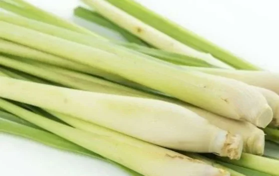 Manfaat Daun Sereh bagi Kesehatan