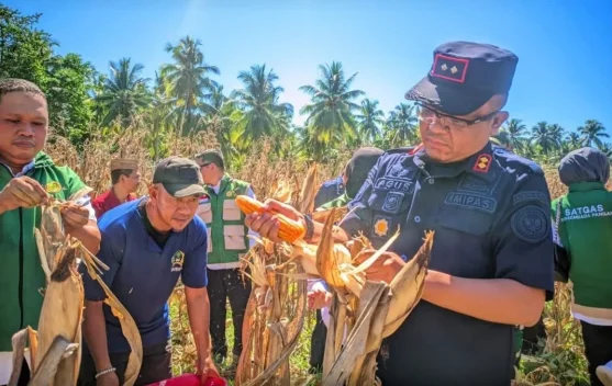 Panen Perdana 2026, Lapas Boalemo Hasilkan 10 Ton Jagung - RRI.co.id