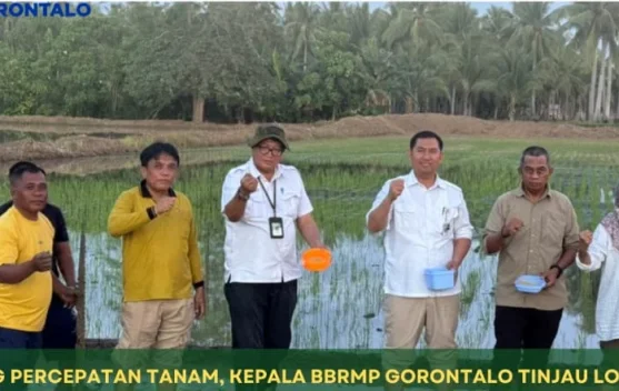 BRMP Cek Percepatan Tanam Serentak Nasional  di Pohuwato
