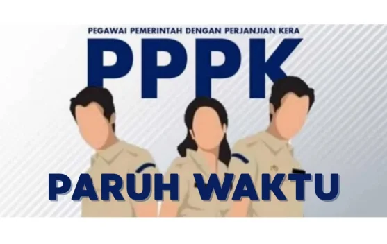 Gaji PPPK Paruh Waktu di  Gorontalo Bervariasi