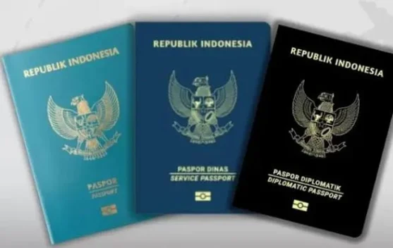 Kenali Arti Warna Paspor RI