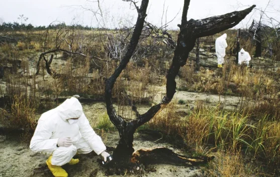 Serangan Drone Perburuk Kondisi Reaktor Chernobyl