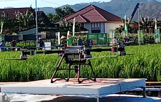 Kementan Apresiasi Kesiapan Gelar Teknologi PENAS XVII Gorontalo