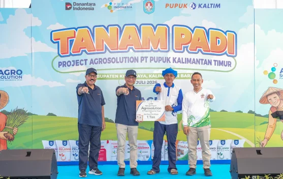 Pupuk Kaltim Dorong Produktivitas Padi lewat Program Agrosolution