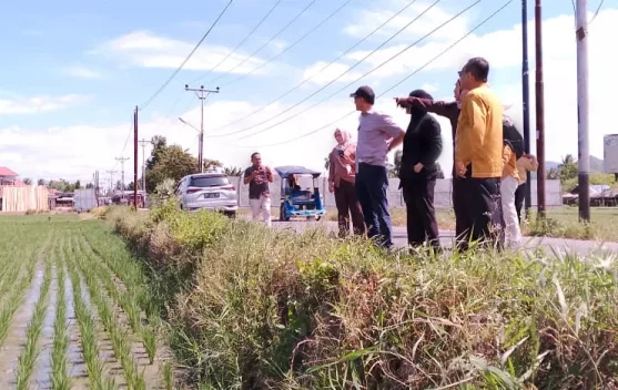 Deprov Gorontalo Tinjau Persawahan di Bone Bolango, Dorong Produktivitas Petani