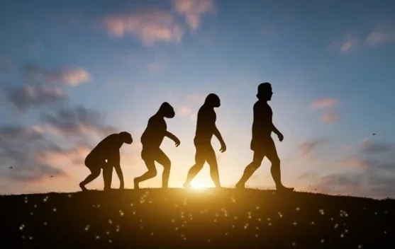 Fakta Baru Evolusi Manusia