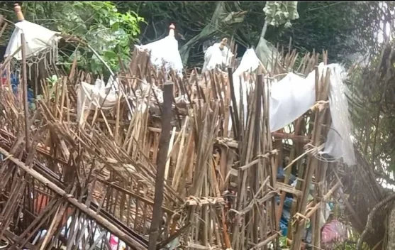 Tak Dikubur atau Dikremasi, Ini Keunikan Tradisi Pemakaman Desa Trunyan