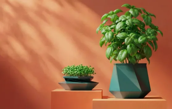 Helix, ketika Desain Origami Diterapkan pada Pot Tanaman