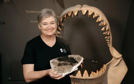 Megalodon Kembali "Muncul", Fosil Baru Ungkap Rahasianya